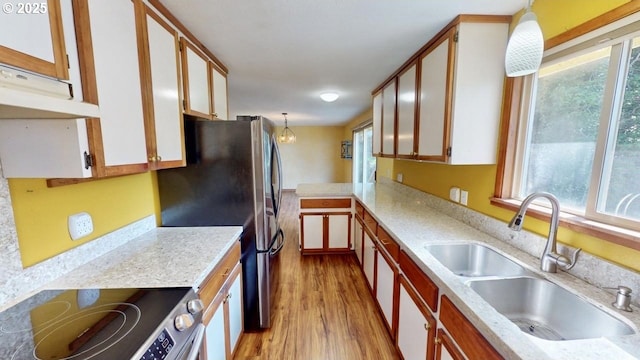 kitchen featuring light wood finished floors, plenty of natural light, appliances with stainless steel finishes, and a sink