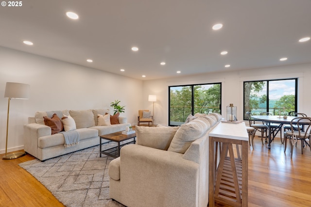 living room featuring light hardwood / wood-style floors