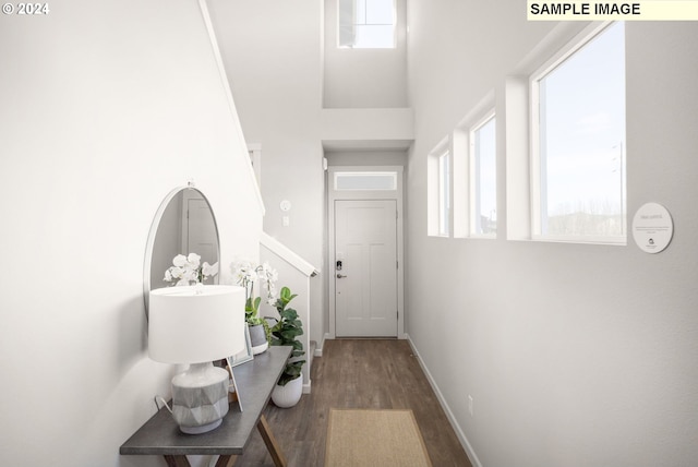 corridor with a wealth of natural light, dark hardwood / wood-style floors, and a towering ceiling