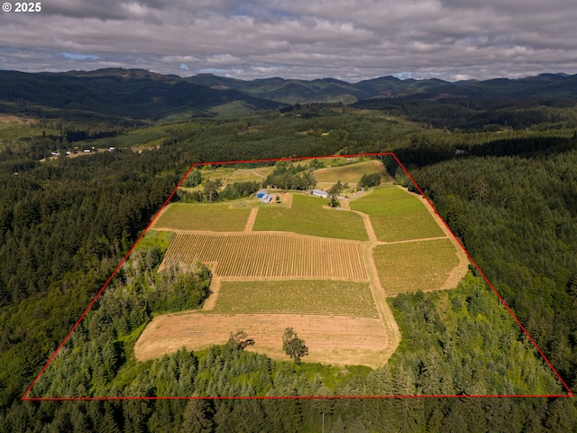 aerial view with a mountain view, a rural view, and a wooded view