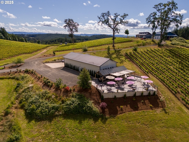 drone / aerial view featuring a mountain view and a rural view