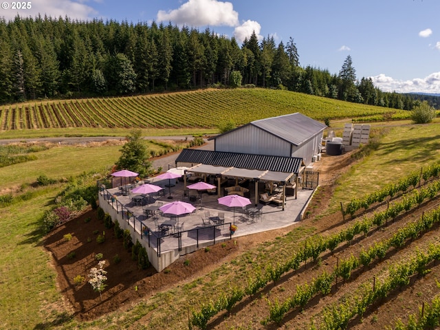 bird's eye view with a rural view