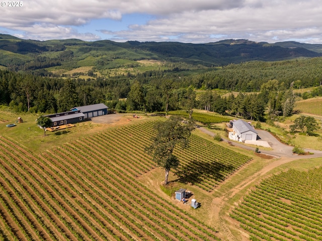 birds eye view of property with a view of trees, a mountain view, and a rural view
