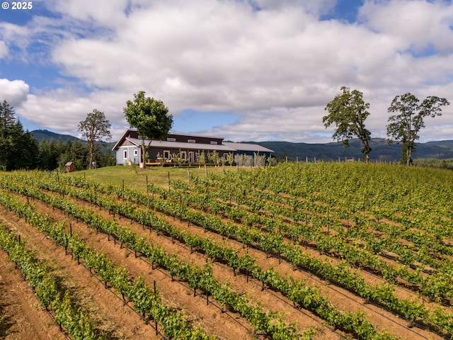 view of yard with a mountain view, a rural view, and fence