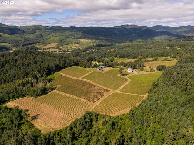 bird's eye view with a mountain view and a forest view
