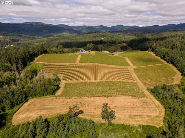 aerial view with a rural view and a mountain view