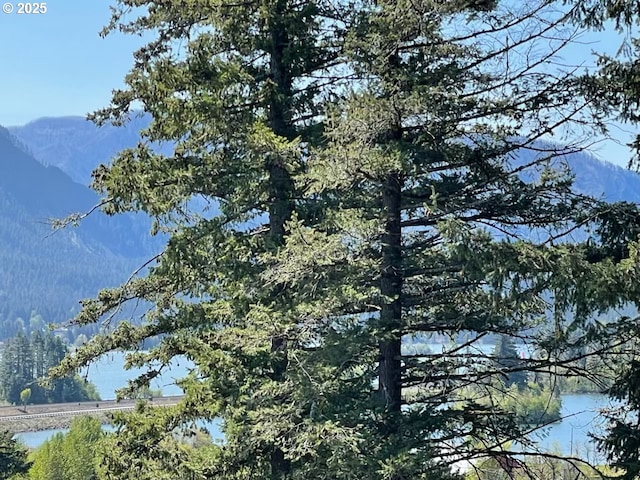 113 NW Willard St, Stevenson, WA 98648 - view of mountain backdrop with a large body of water