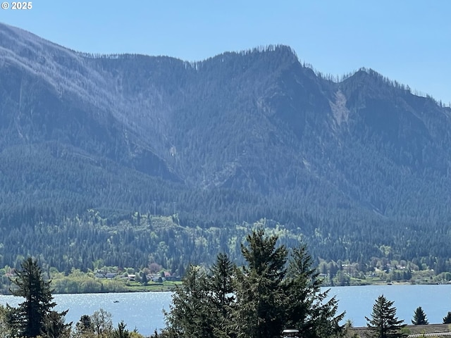 mountain view with a water view and a forest view