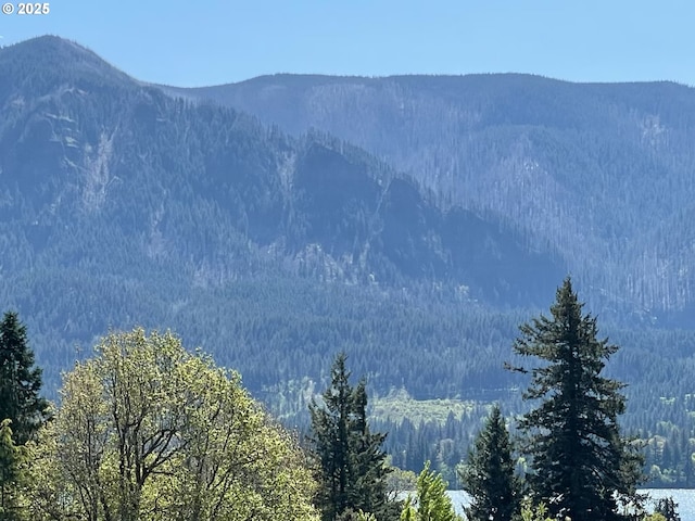 view of mountain feature featuring a view of trees