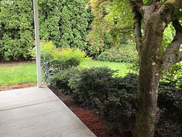 15503 NE 84th St, Vancouver, WA 98682 - view of yard featuring a view of trees and a patio