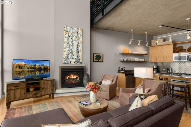 living area featuring a warm lit fireplace, wood finished floors, and rail lighting