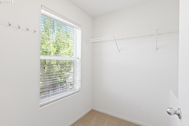2732 NW Kennedy Ct, Portland, OR 97229 - walk in closet featuring light colored carpet
