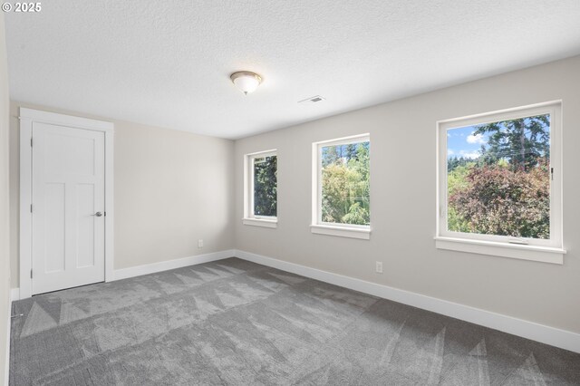 40 SW 150th Ave, Beaverton, OR 97006 - spare room with carpet floors and a textured ceiling