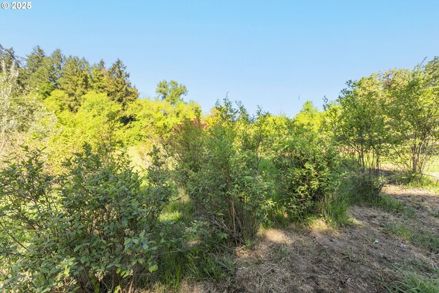 view of tree filled area