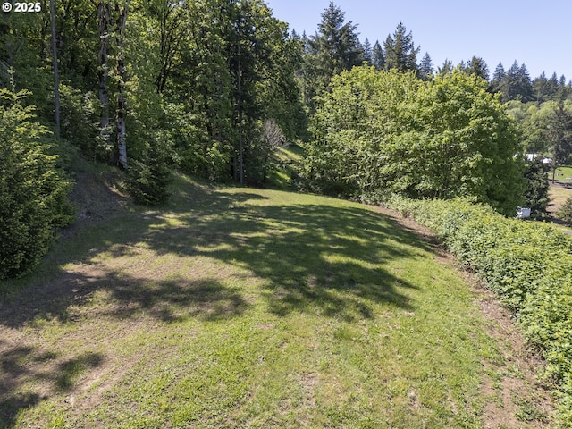 9275 SE Terrace View Ct, Amity, OR 97101 - view of grassy yard featuring a view of trees