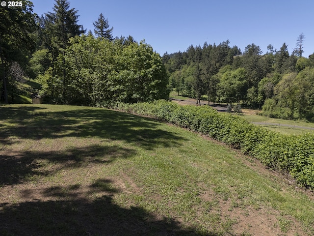 9275 SE Terrace View Ct, Amity, OR 97101 - view of grassy yard with a wooded view