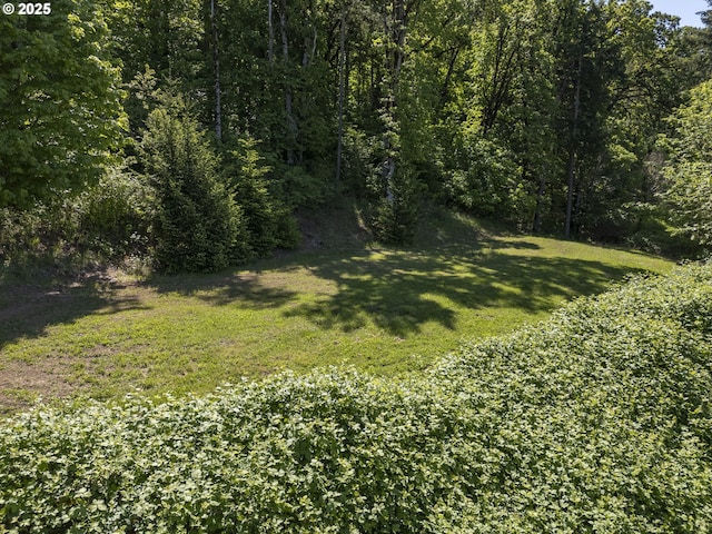 9275 SE Terrace View Ct, Amity, OR 97101 - view of grassy yard featuring a view of trees