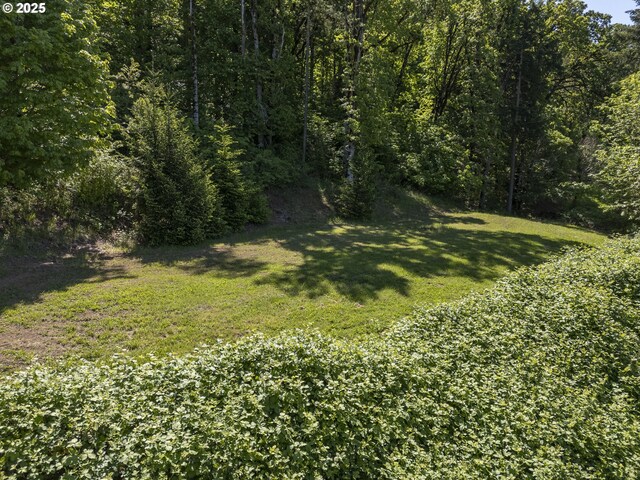 view of grassy yard with a view of trees