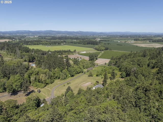 9275 SE Terrace View Ct, Amity, OR 97101 - aerial view of property's location with mountains