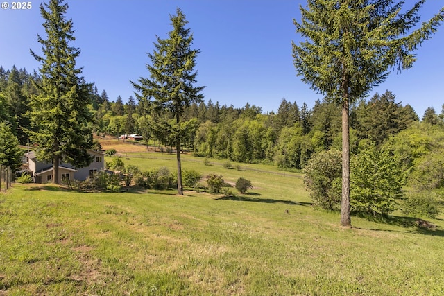 view of grassy yard featuring a view of trees