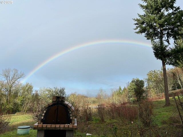 9275 SE Terrace View Ct, Amity, OR 97101 - view of yard