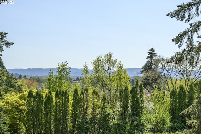 440 NW Gutbrod St, Sheridan, OR 97378 - view of mountain feature featuring a view of trees
