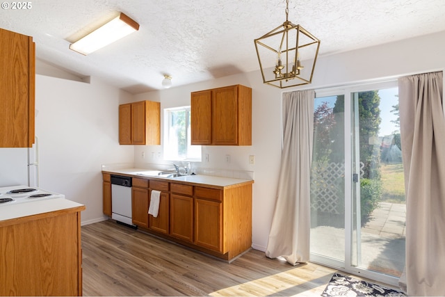517 Anthony Dr, Boardman, OR 97818 - kitchen featuring dishwasher, a sink, light wood-type flooring, light countertops, and brown cabinetry