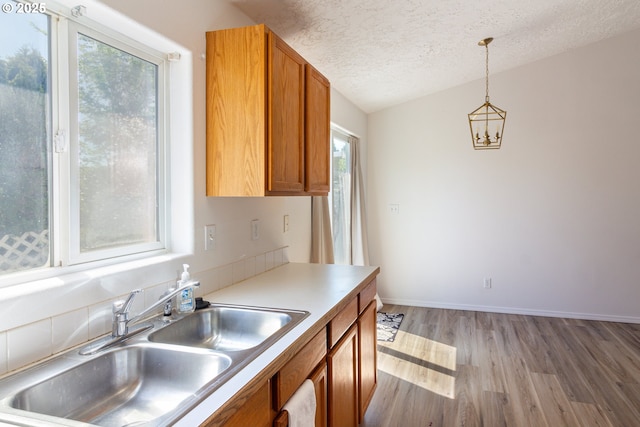 517 Anthony Dr, Boardman, OR 97818 - kitchen with a sink, healthy amount of natural light, light wood-style flooring, a textured ceiling, and brown cabinetry
