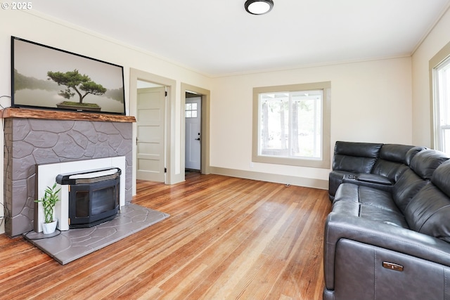 22621 Noti Loop, Noti, OR 97461 - living room with light wood-style floors, baseboards, and crown molding