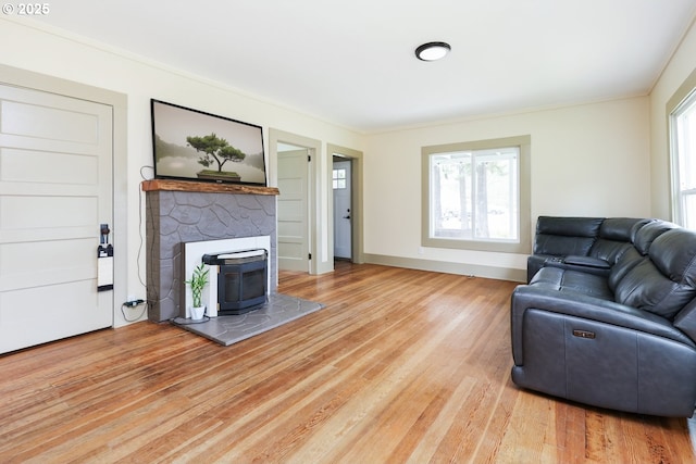 22621 Noti Loop, Noti, OR 97461 - living area with light wood-style flooring, ornamental molding, and baseboards