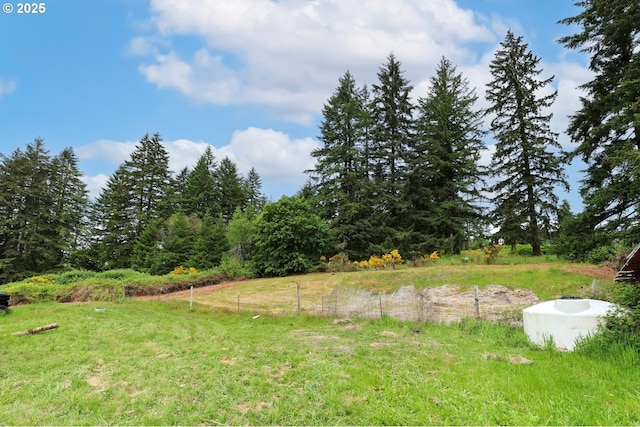 22621 Noti Loop, Noti, OR 97461 - view of yard