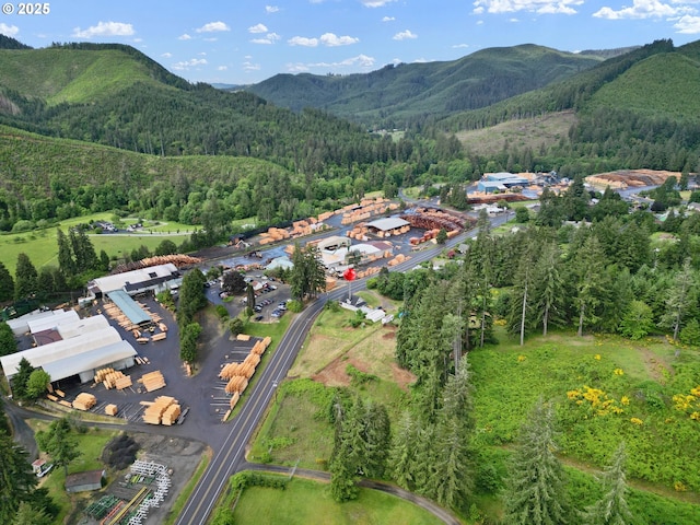 22621 Noti Loop, Noti, OR 97461 - aerial view of property's location featuring a forest and a mountain backdrop