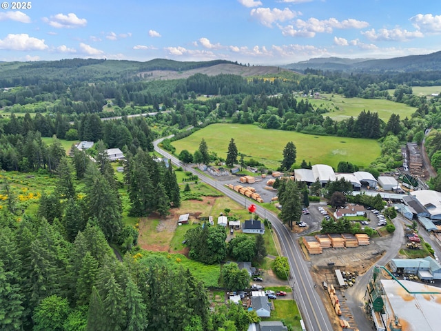 22621 Noti Loop, Noti, OR 97461 - view of property location with a heavily wooded area and a mountainous background