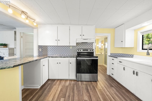 kitchen featuring under cabinet range hood, stainless steel range with electric stovetop, a sink, and wood finished floors
