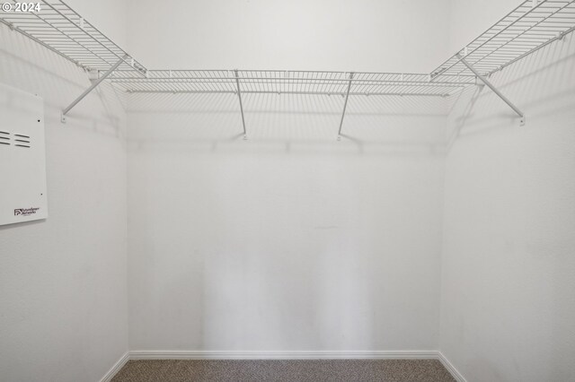 spacious closet with carpet floors