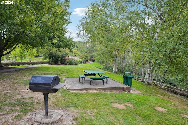 view of yard with a patio area