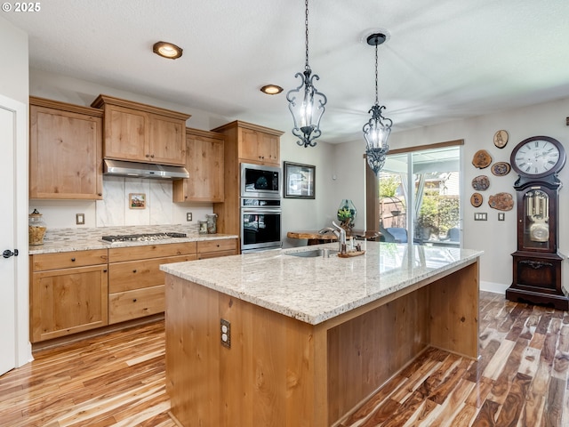 kitchen featuring a sink, an island with sink, light wood-style floors, appliances with stainless steel finishes, and under cabinet range hood