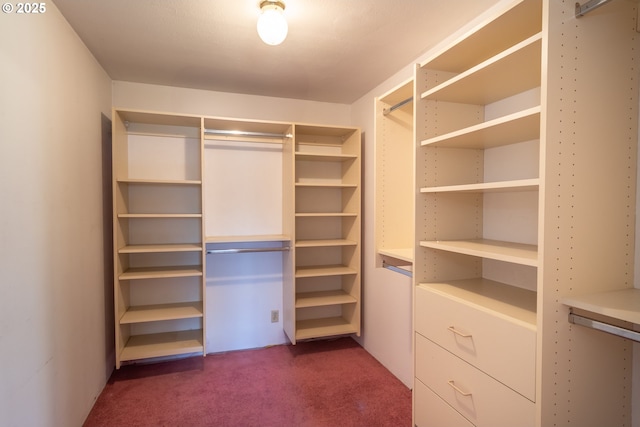 walk in closet with dark carpet