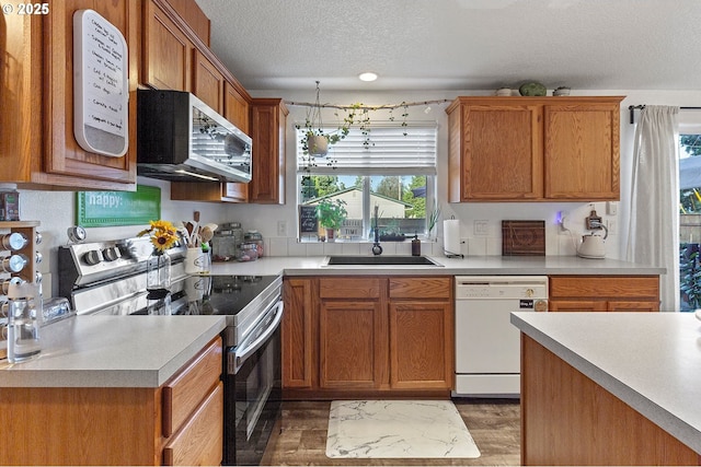 kitchen featuring light wood-type flooring, light countertops, a textured ceiling, a sink, and appliances with stainless steel finishes