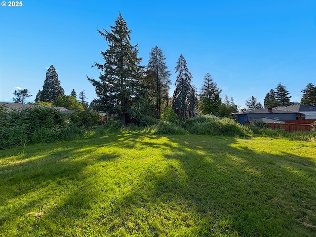 562 Gatch St, Woodburn, OR 97071 - view of yard