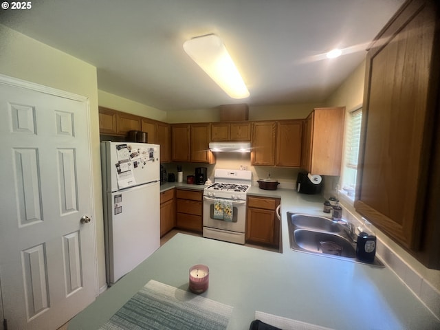 4733 Spring Meadow Ave, Eugene, OR 97404 - kitchen with white appliances, under cabinet range hood, light countertops, brown cabinetry, and a peninsula