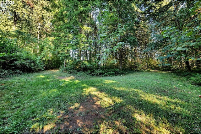 view of yard featuring a view of trees