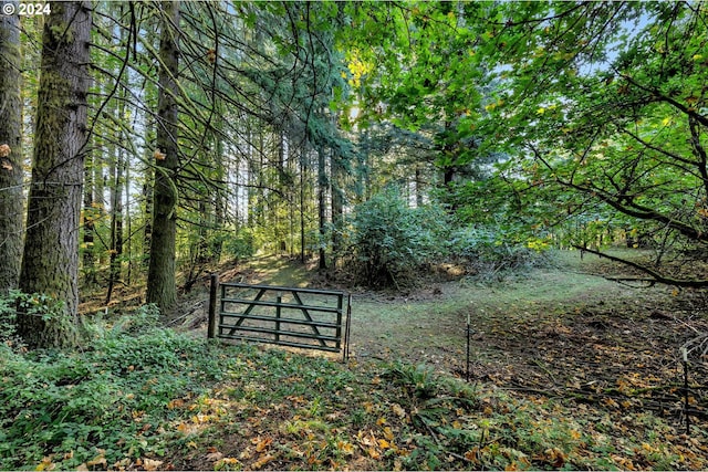 view of community featuring a forest view