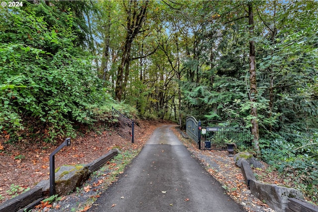 view of street featuring a wooded view