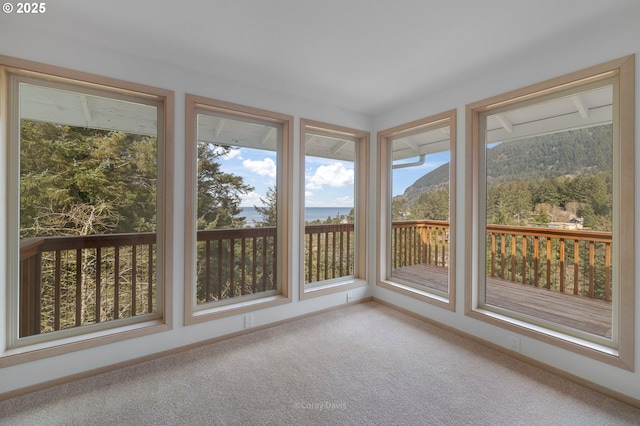 213 University Ave, Manzanita, OR 97130 - unfurnished sunroom with carpet flooring