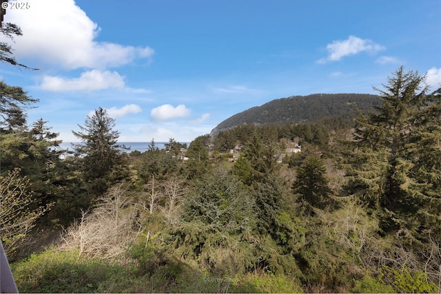 213 University Ave, Manzanita, OR 97130 - property view of mountains with a wooded view