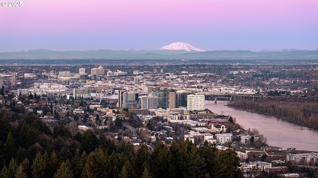 230 SW Florida St, Portland, OR 97219 - view of city with a water and mountain view