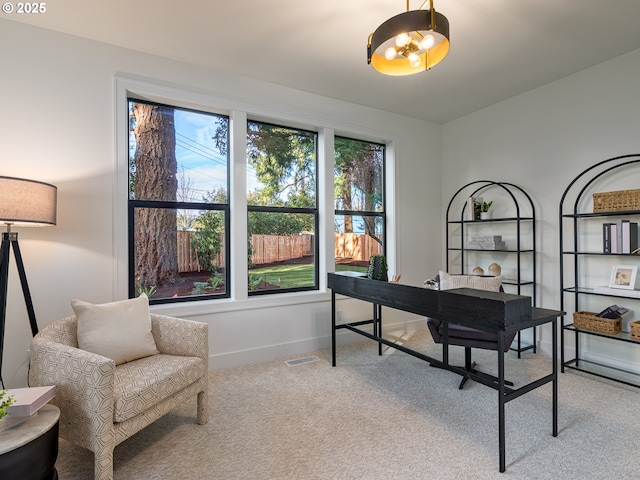 office area with visible vents, carpet, and baseboards