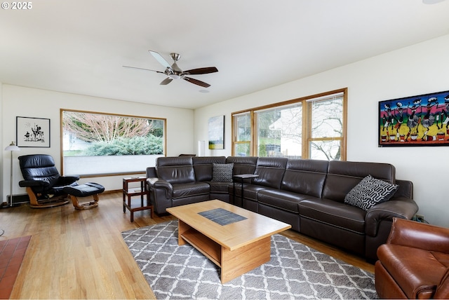 living area with wood finished floors and a ceiling fan