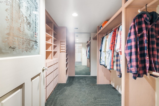 2120 W 23rd Ave, Eugene, OR 97405 - spacious closet featuring dark carpet